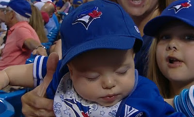 infant blue jays hat